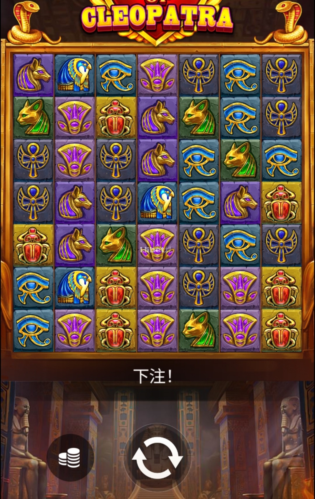 d1.jpg