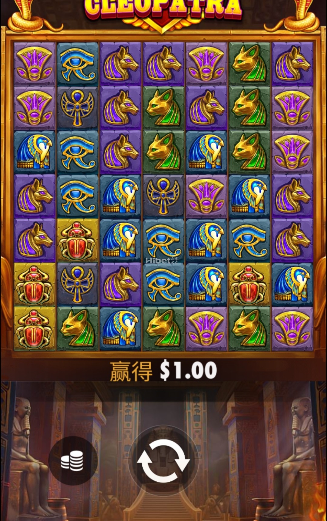 d5.jpg