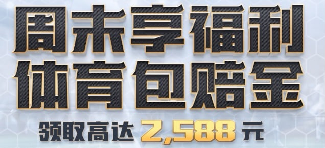 d8.jpg