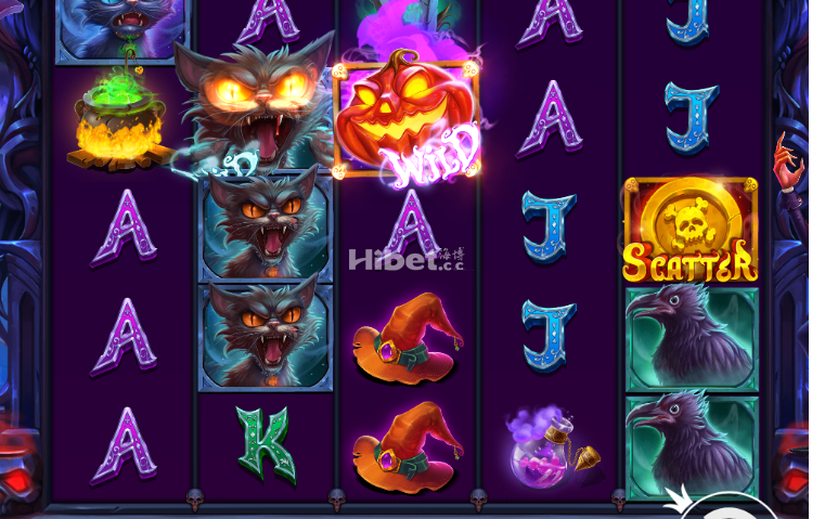 d1.png