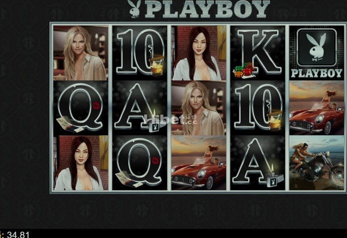 d2.jpg