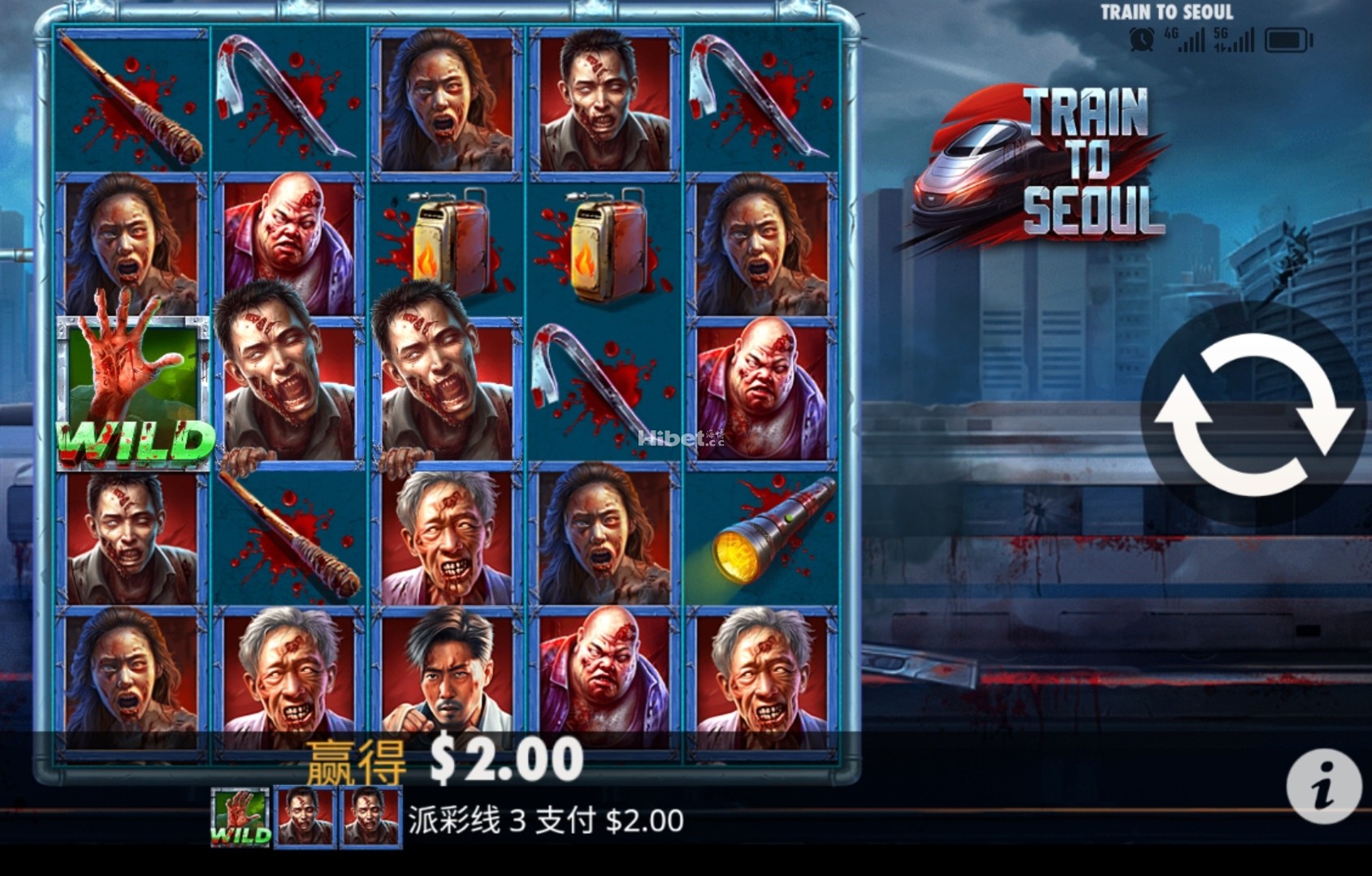 d1.jpg