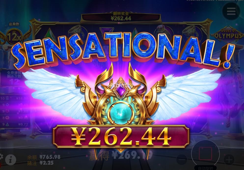 d1.jpg