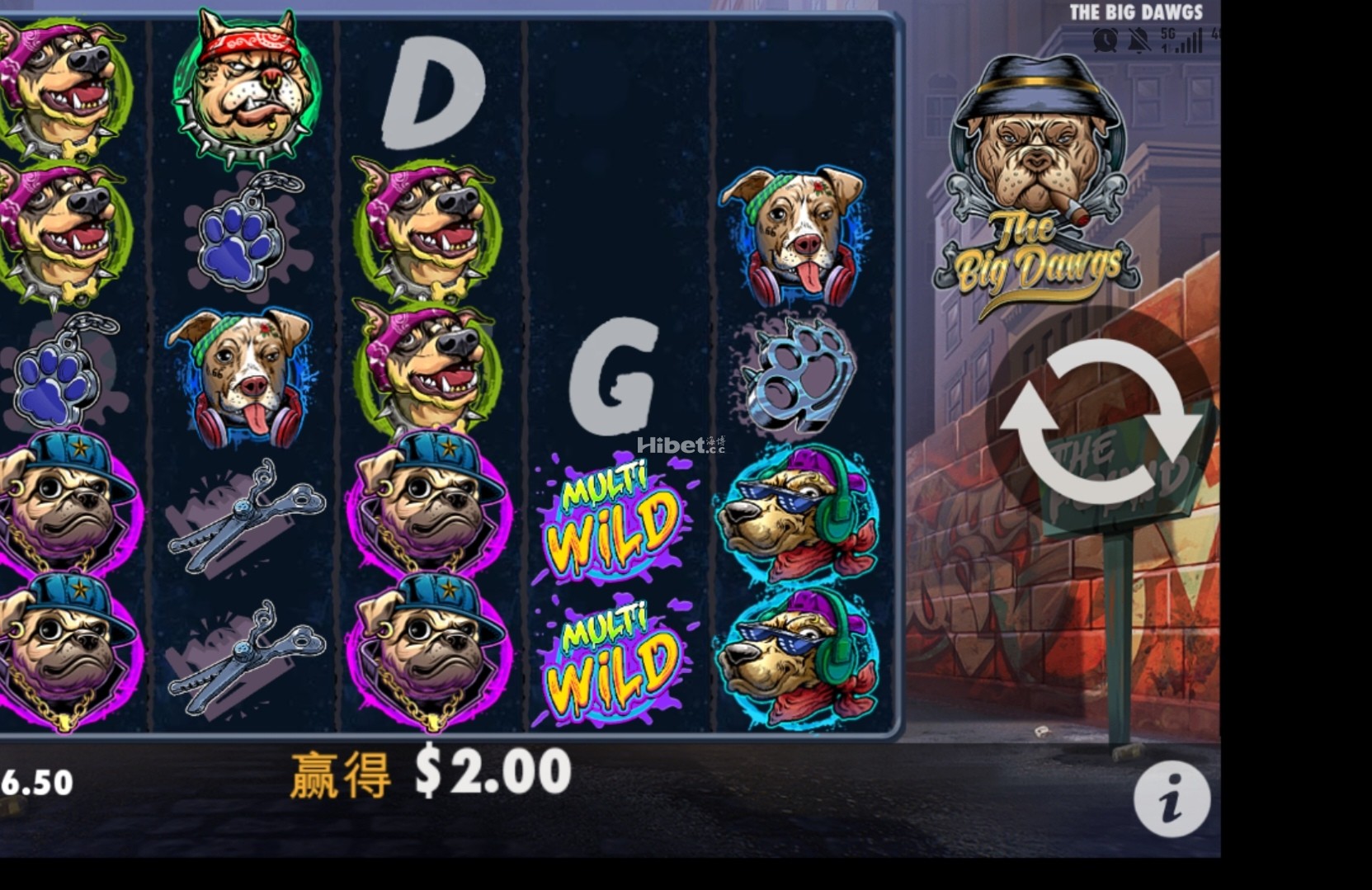 d1.jpg