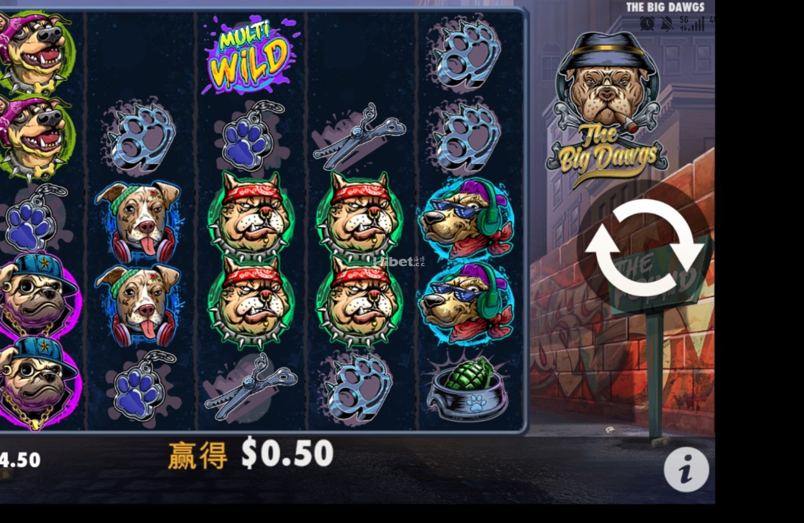 d2.jpg