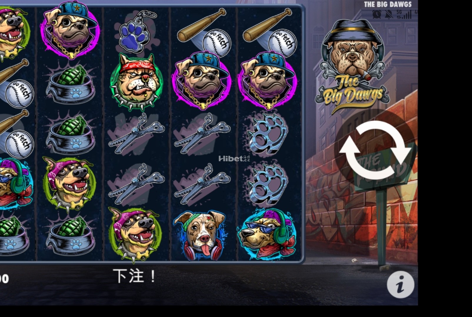 d3.jpg